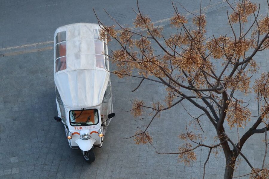 Valencia: Tuk Tuk Historical Tour - Who this tour suits best