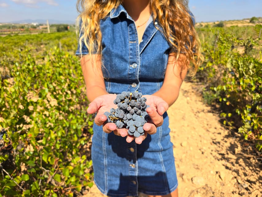 Valencia: Utiel-Requena Cave & Winery Day Trip with Tasting - Quick hits before you go