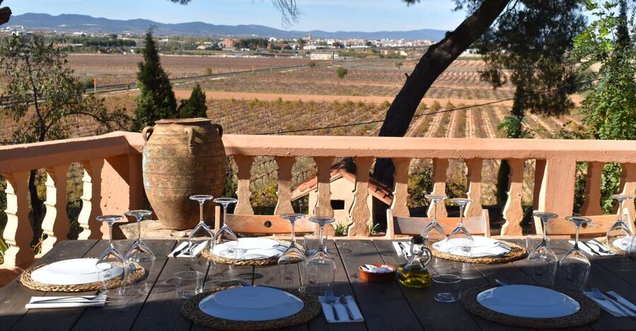 Valencia: Utiel-Requena Cave & Winery Day Trip with Tasting - Requena on foot: a quick taste of the town vibe
