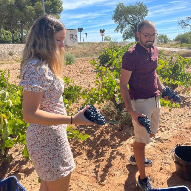 Valencia: Utiel-Requena Cave & Winery Day Trip with Tasting - Pickup, ride, and the small-group feel from Valencia