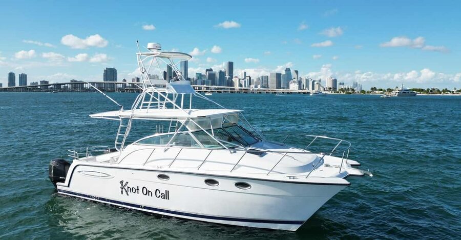Valencia: VIP Sunset Cruise in Catamaran with drink - Your included drink: what you get, and how to plan your sip