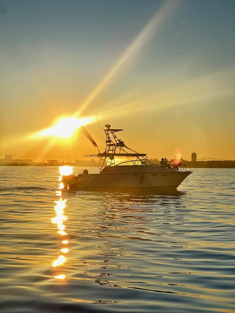 Valencia: VIP Sunset Cruise in Catamaran with drink - Captain, languages, and how easy it is to communicate