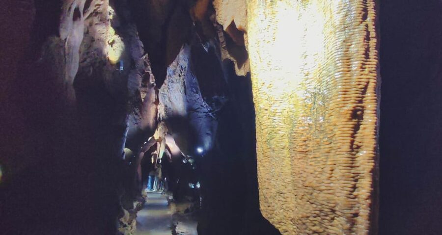 Valencia: Visit by boat to the Caves of Sant Josep - Price and value: why $136 can make sense here