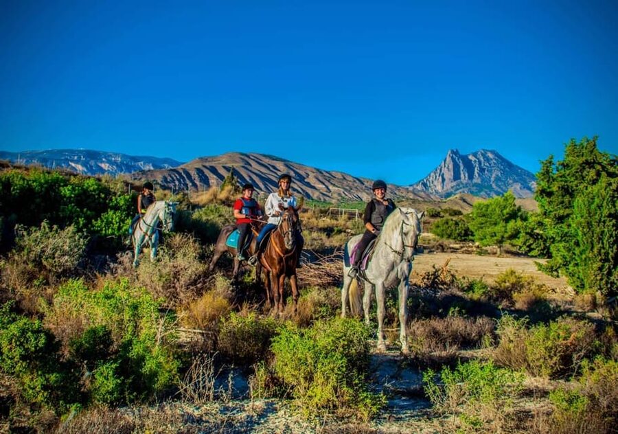 Villajoyosa Horseback Riding in the Mountains with sea views - Meeting your horse and learning the cues (faster than you think)