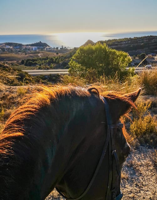 Villajoyosa Horseback Riding in the Mountains with sea views - Who this horseback ride suits best, and who should skip it