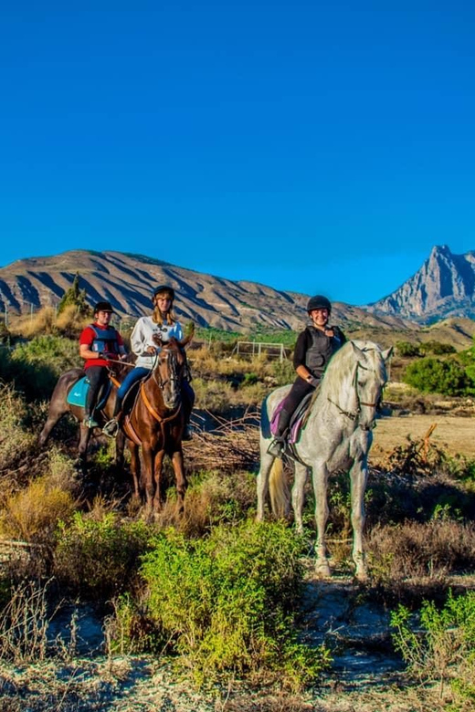 Villajoyosa Horseback Riding in the Mountains with sea views - Price and value: what $47 buys you in the mountains