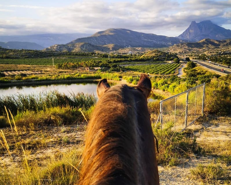 Villajoyosa Horseback Riding in the Mountains with sea views - Getting there: remote stables, free parking, and taxi reality