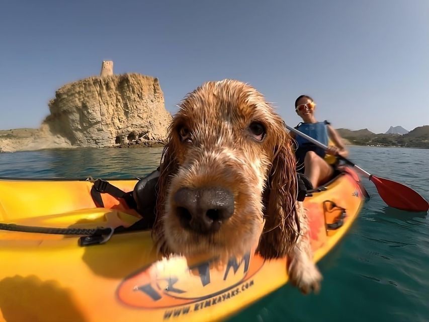 Villajoyosa: Kayaking with the man's best friend, your dog - Meeting at El Xarco, how to start without stress