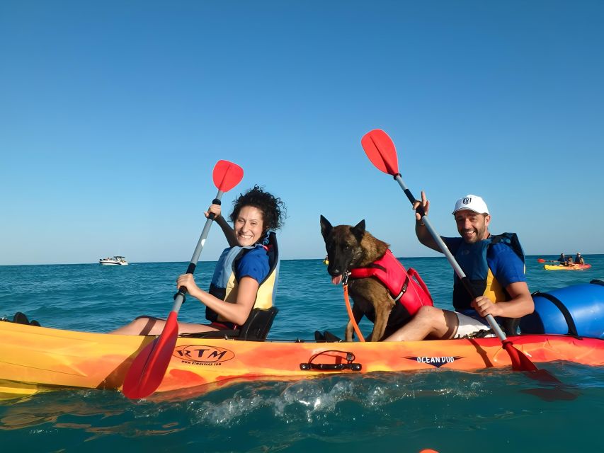 Villajoyosa: Kayaking with the man's best friend, your dog - Two route styles: calm south to Carritxal or a north line toward cliffs