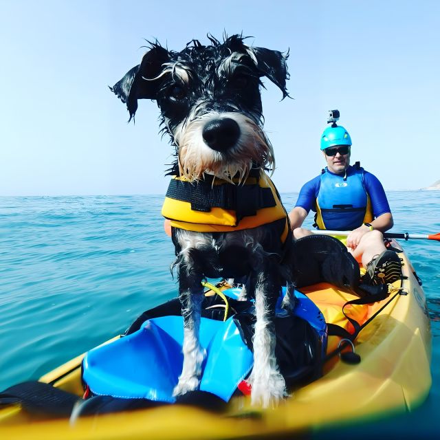 Villajoyosa: Kayaking with the man's best friend, your dog - Price and value: is $44 per person a good deal?