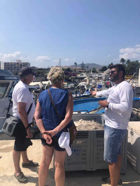 Villajoyosa: Seafood Route and Fish Auction. - The Lonja port area walk: seeing the working setup up close