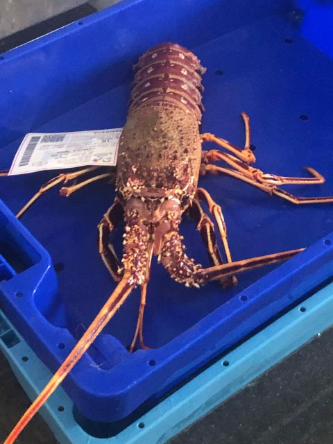 Villajoyosa: Seafood Route and Fish Auction. - How long should you plan for, and how it fits your day