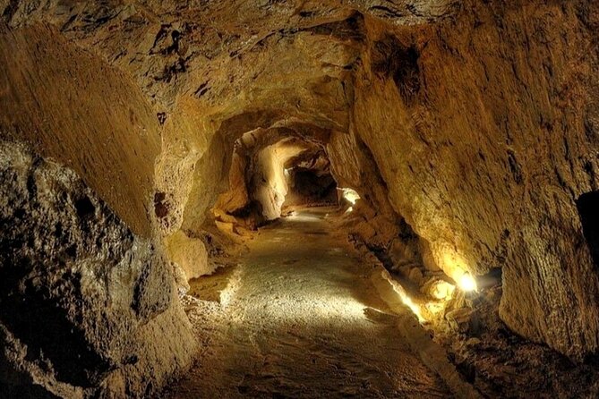 Visit to the Sant Josep Caves - Price and value: is $179.74 per person worth it?
