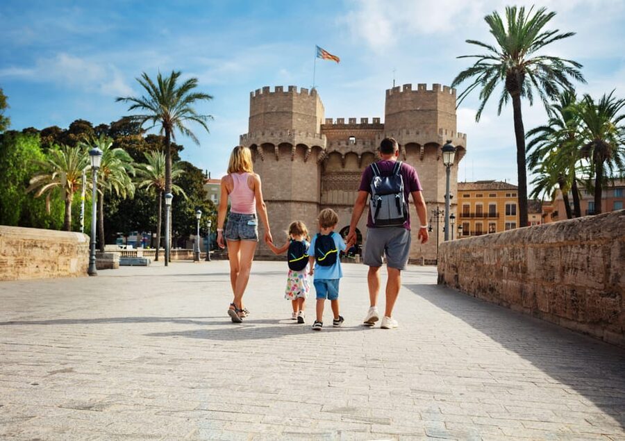 Walking Tour through Valencia's Historic Centre - Key Things To Know Before You Go