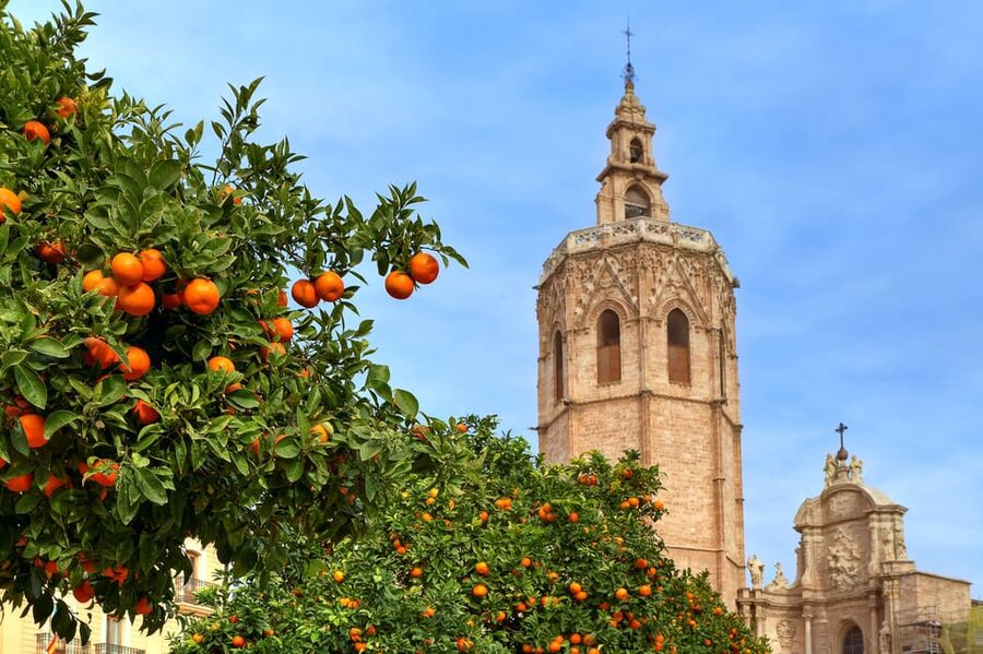 Walking Tour through Valencia's Historic Centre - Valencia’s Old Center Makes This Tour Work