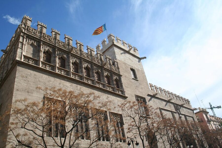 Walking Tour through Valencia's Historic Centre - Your Guide’s Real Value: Orientation and Extra Help