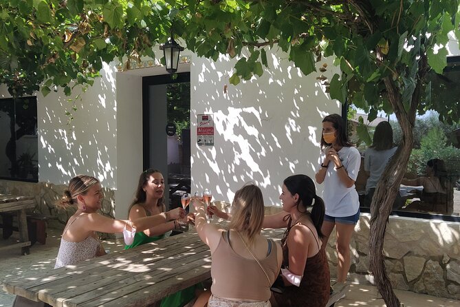 Wine tasting tour - Meeting in Burjassot, then heading out around 9:45