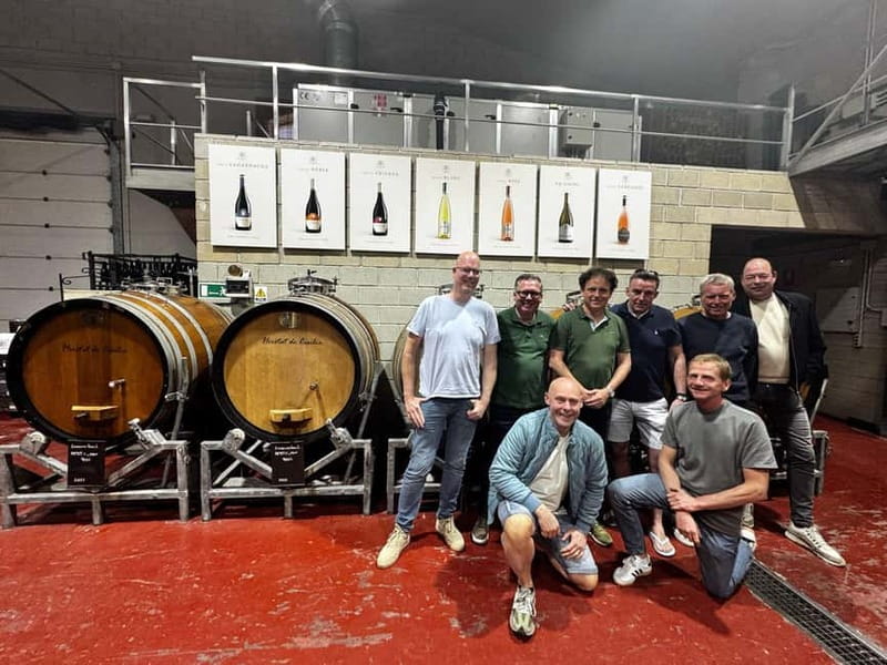 Winery Visit and Tasting in Elche with wines and tapas from Alicante in Van - How the Elche Winery Day Works, from Santa Pola pickups to a 9-seater van