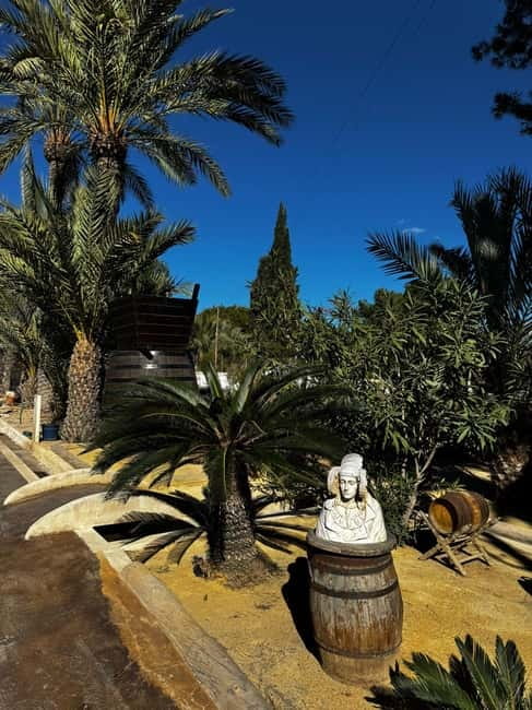 Winery Visit and Tasting in Elche with wines and tapas from Alicante in Van - Price and Logistics, why $68 can make sense here