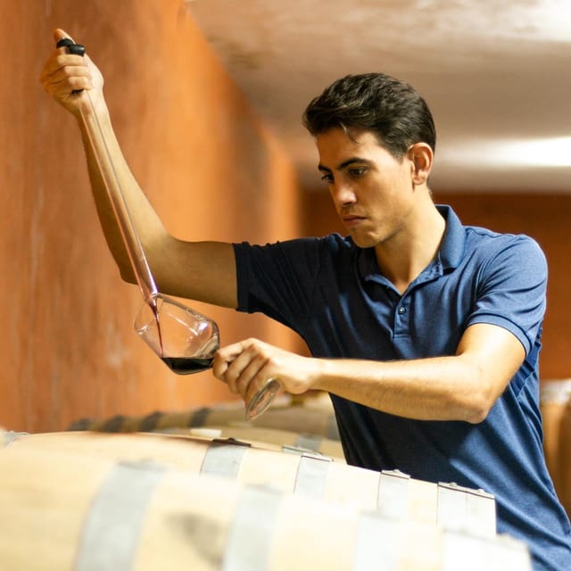 Xalo: Vineyard Tour with Wine Tasting and Snacks - The guided winery tour: presses, cellar spaces, and real aging vessels